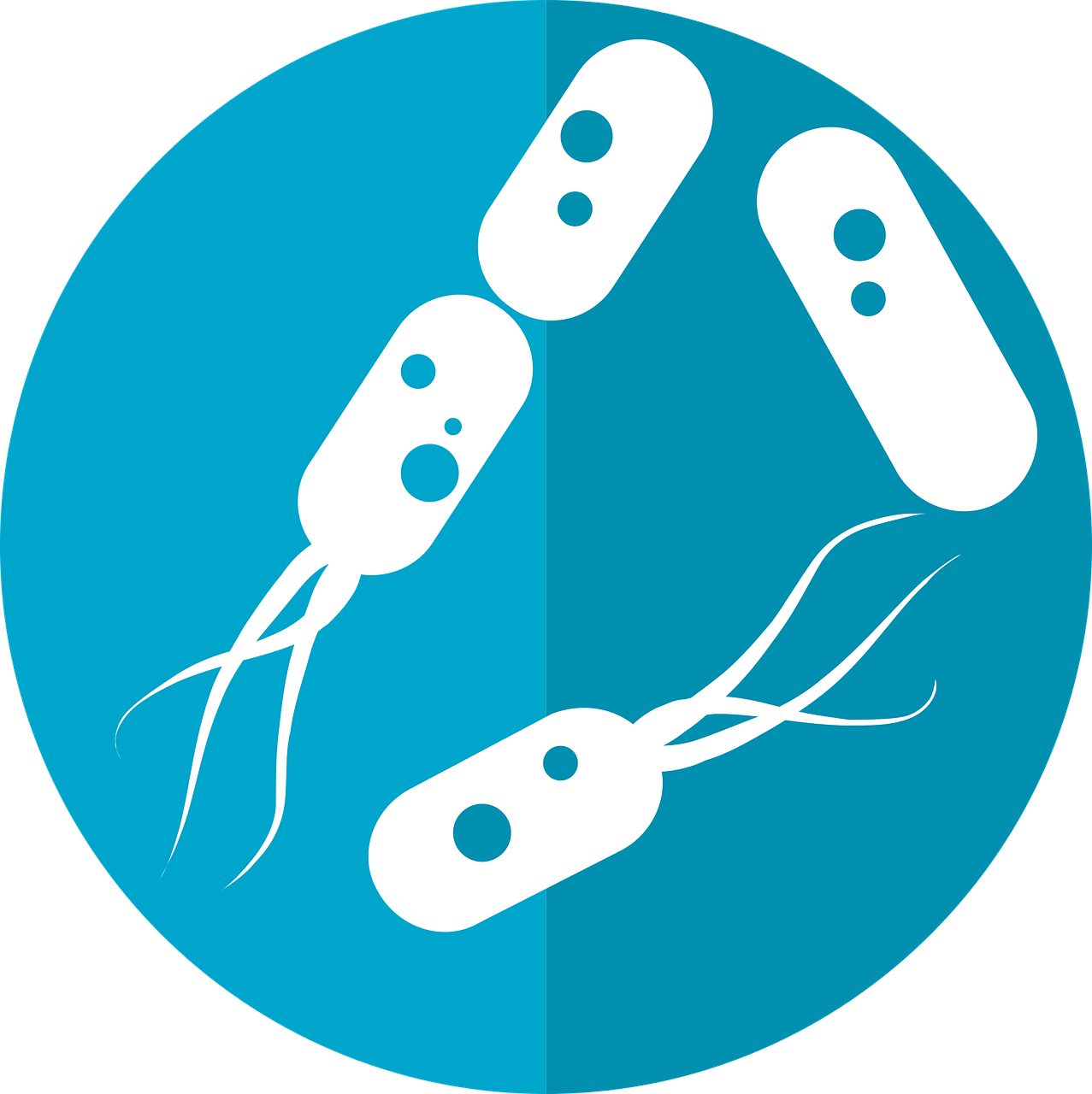 Resumo de Microbiologia