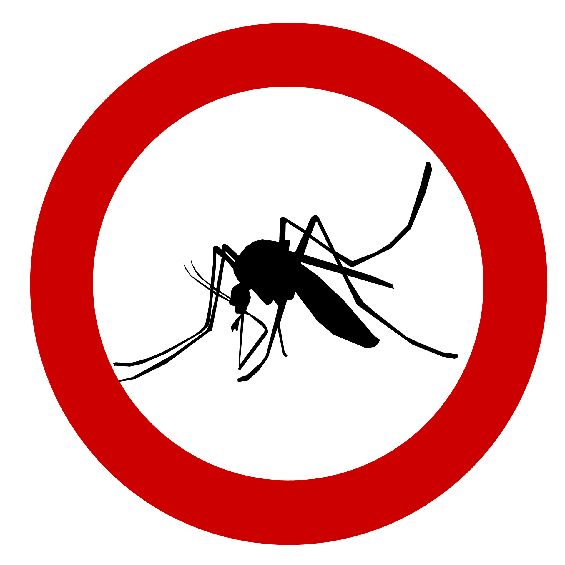 Aedes: dengue, zika e chikungunya